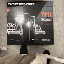 Thrust master Flight Sim Rudders