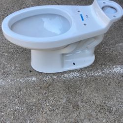 Toilet Bowl 
