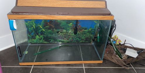 2.5 by 1.5 fish tank