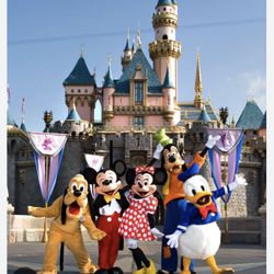  Real 6 Park hoppers Good For One Year 200$ Each , Except Christmas Day Guaranteed Legit