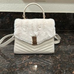 Small Aldo Bag