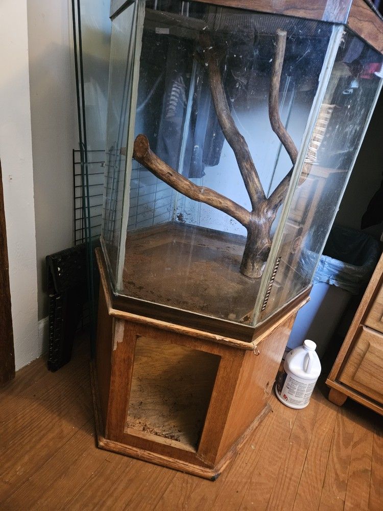 50 Gallon Hexagon Tank And Accessories