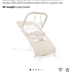 Baby Delight Bouncer 