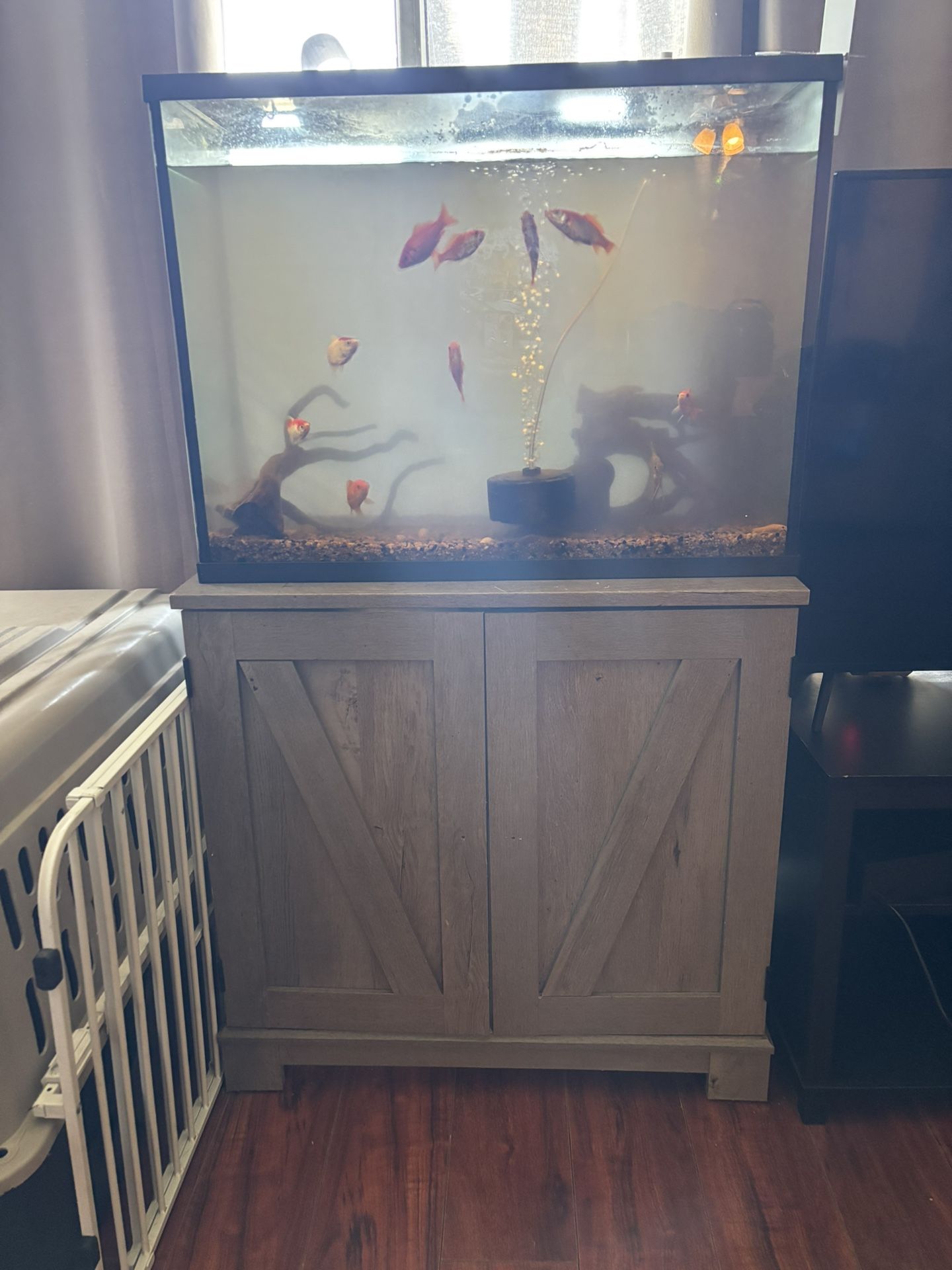 Fish Tank