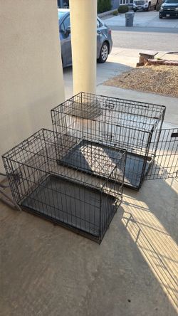 Kennels