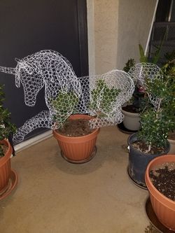 Unicorn Topiary Plant - Laying Down