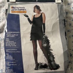 Flapper Costume