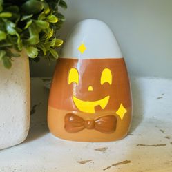Adorable Halloween Light up  Decor