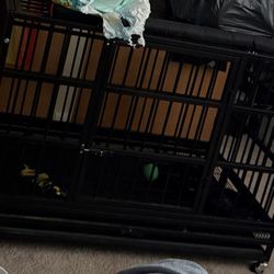 Dog Cage 