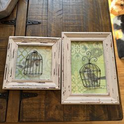Bird pictures
