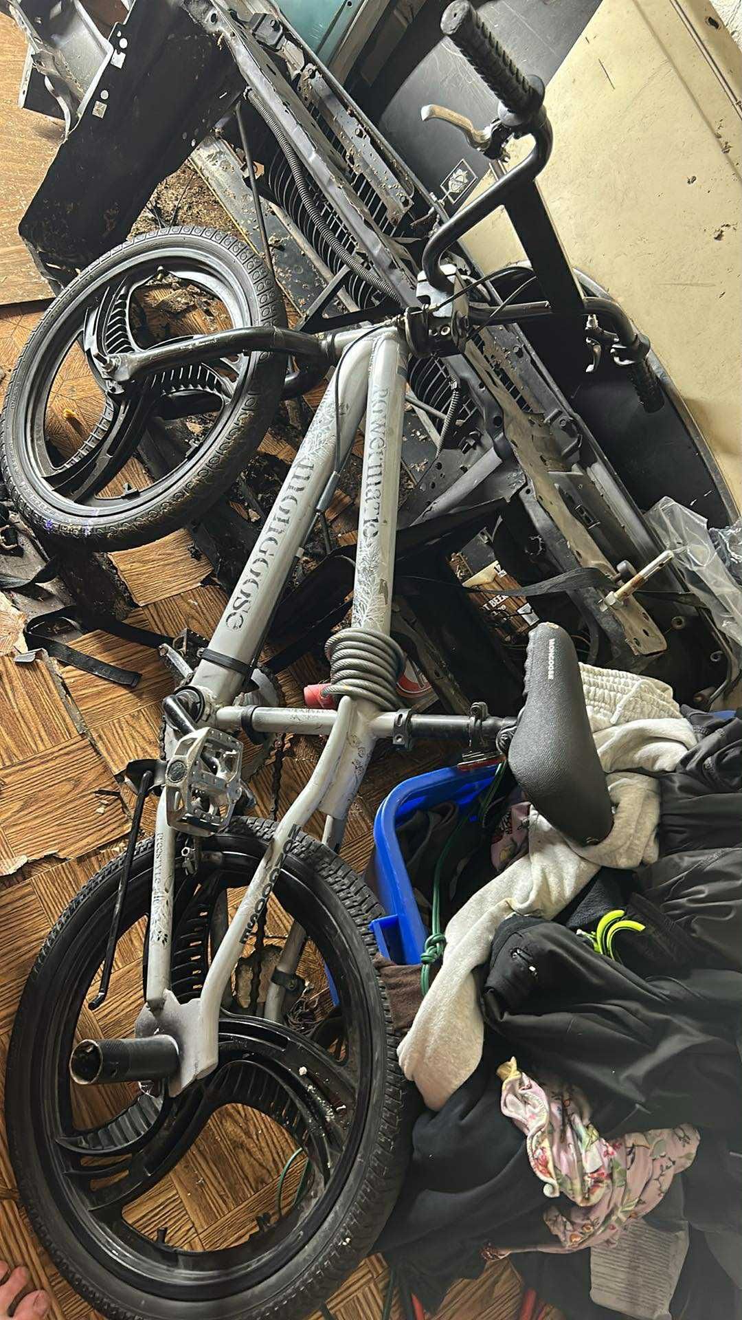 Mongoose