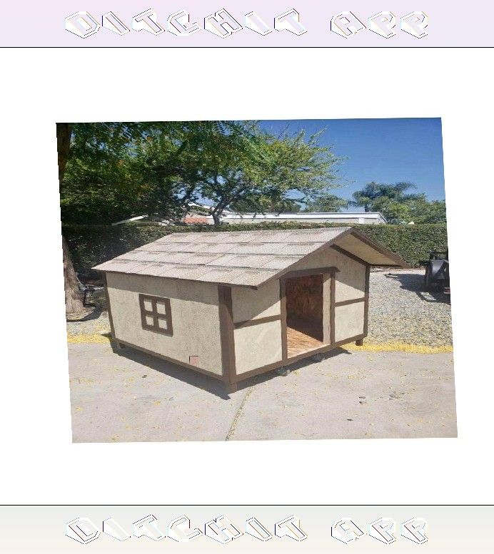Backyard Pet Houses - Strong Homes for Delighted Pets quality rise