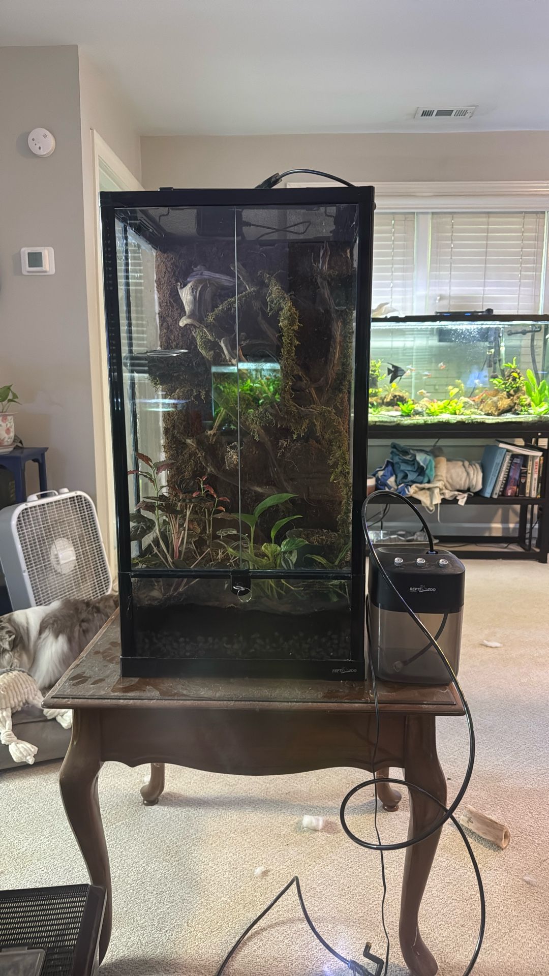 Large Vivarium 