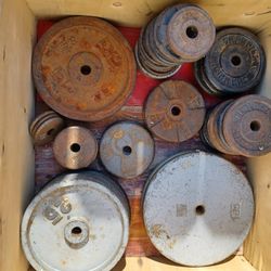 Standard 1" Weight Plates All Sizes and Bars