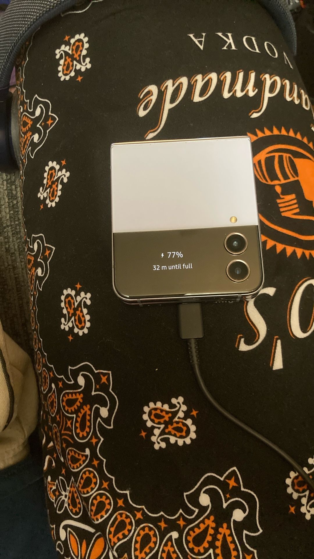 Samsung Galaxy Flip Z 4