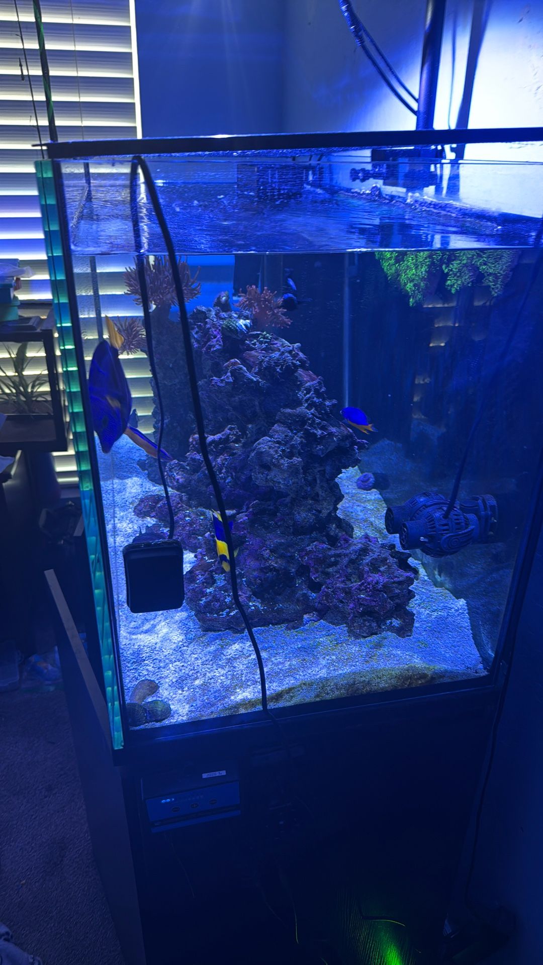Aqua Japan 70 gallons