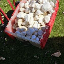 FREE White Landacape Rock 2-3 Inch