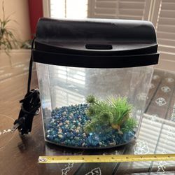 Small Fish tank (1 Gal)