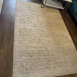 AArea Rug for Sale – Good Condition