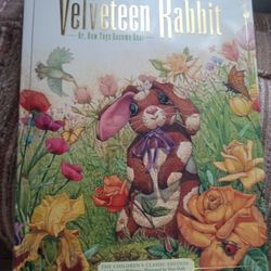 Velveteen Rabbit Book Children's
