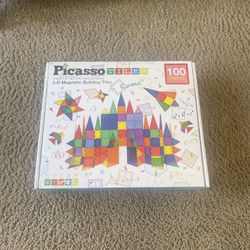 Picasso Magnetic Toy