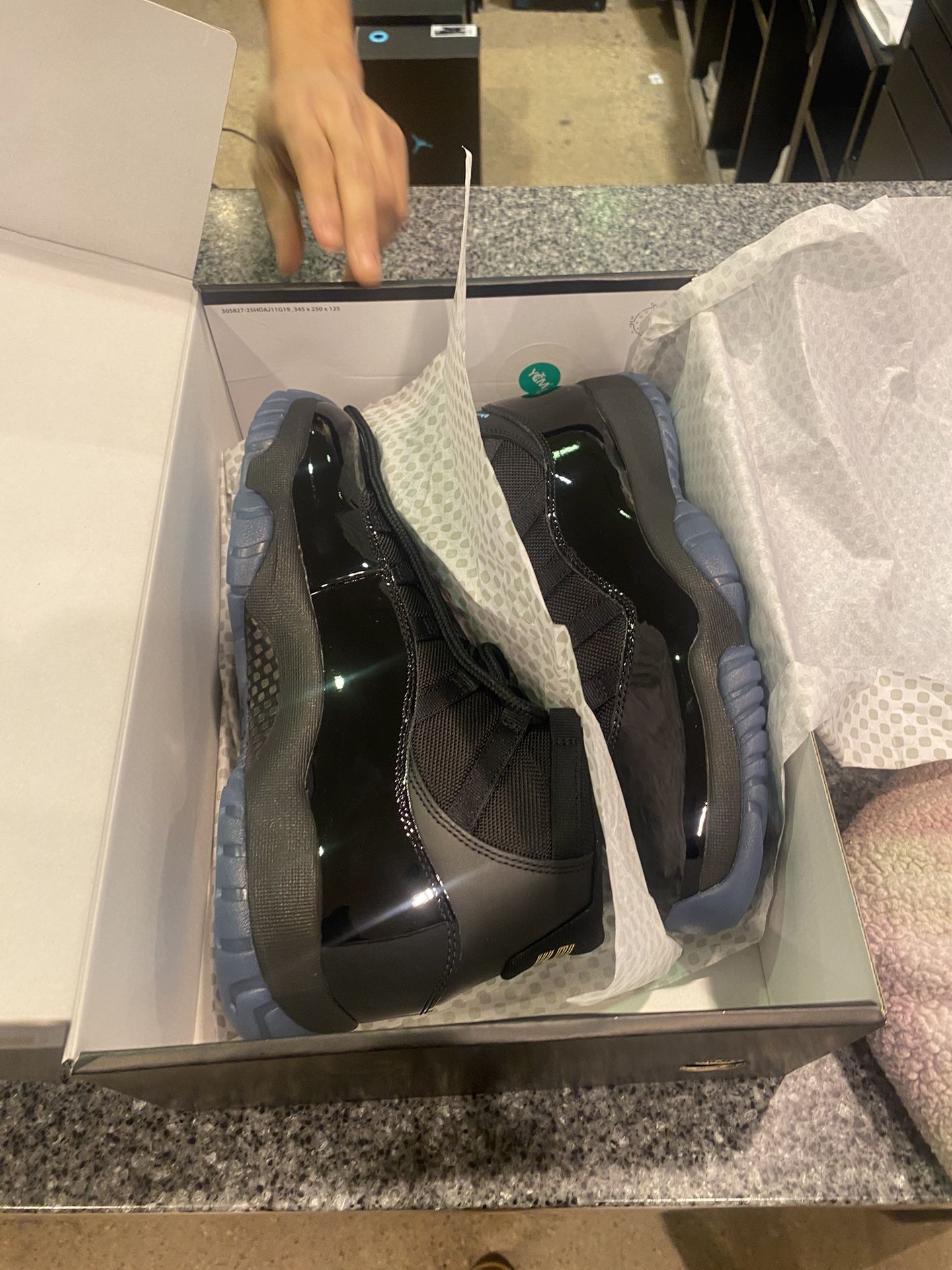 Gammas Jordan 11 Size 9.5 $400