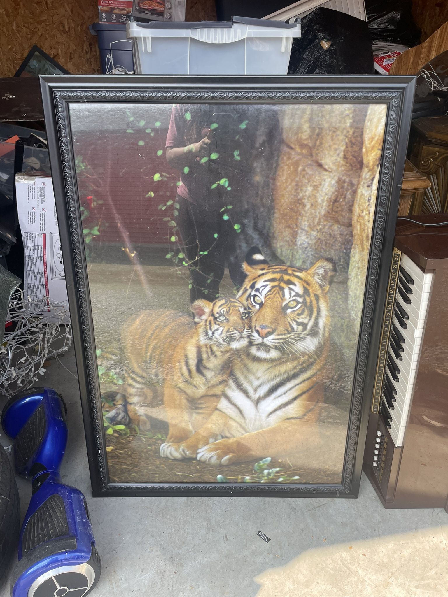 Large Picture