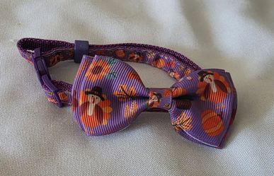 Thanksgiving cats collar