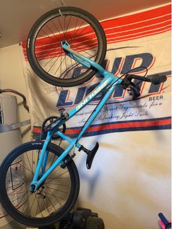 Expert mini 20” redline