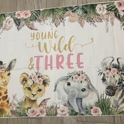 Three Wild Birthday decorations
