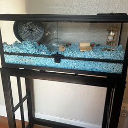 Hamster Tank + Stand