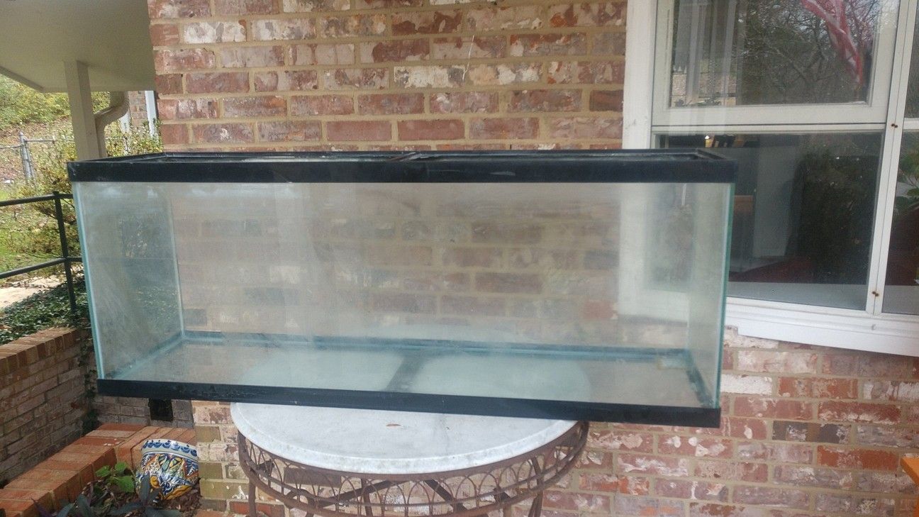55 gallon fish tank