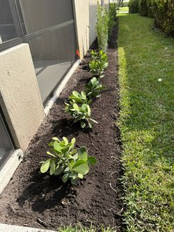Landscaping