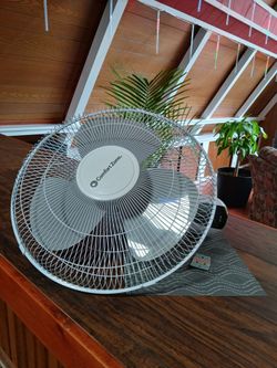 Comfort Zone 18" Oscillating Wall Mount Fan with Remote - Model CZ16WR-EC