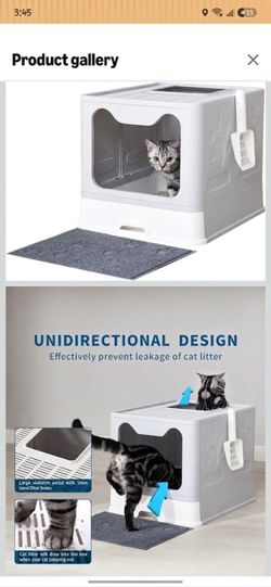 Cat large box