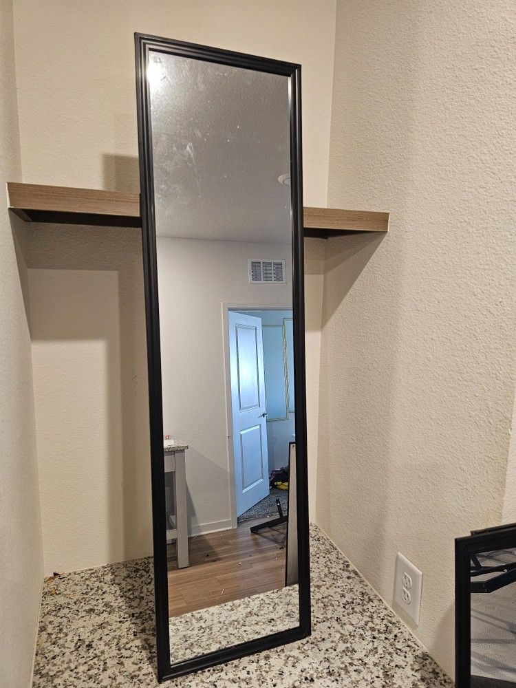 Wall/Door Mirror