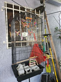 Bird cage