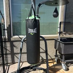 Everlast 100 Pound Boxing And Speed Bag With Stand