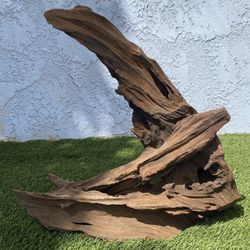 Large Unique Driftwood, terrarium wood, sculpture wood,succulent wood,  air plant wood.