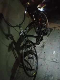 Nirve 53