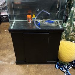 Fish Tank