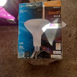  light bulbs  90 W Ecosmart
