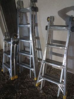 Gorilla ladder