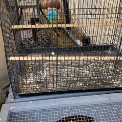 Used utility Cages $15 And $20