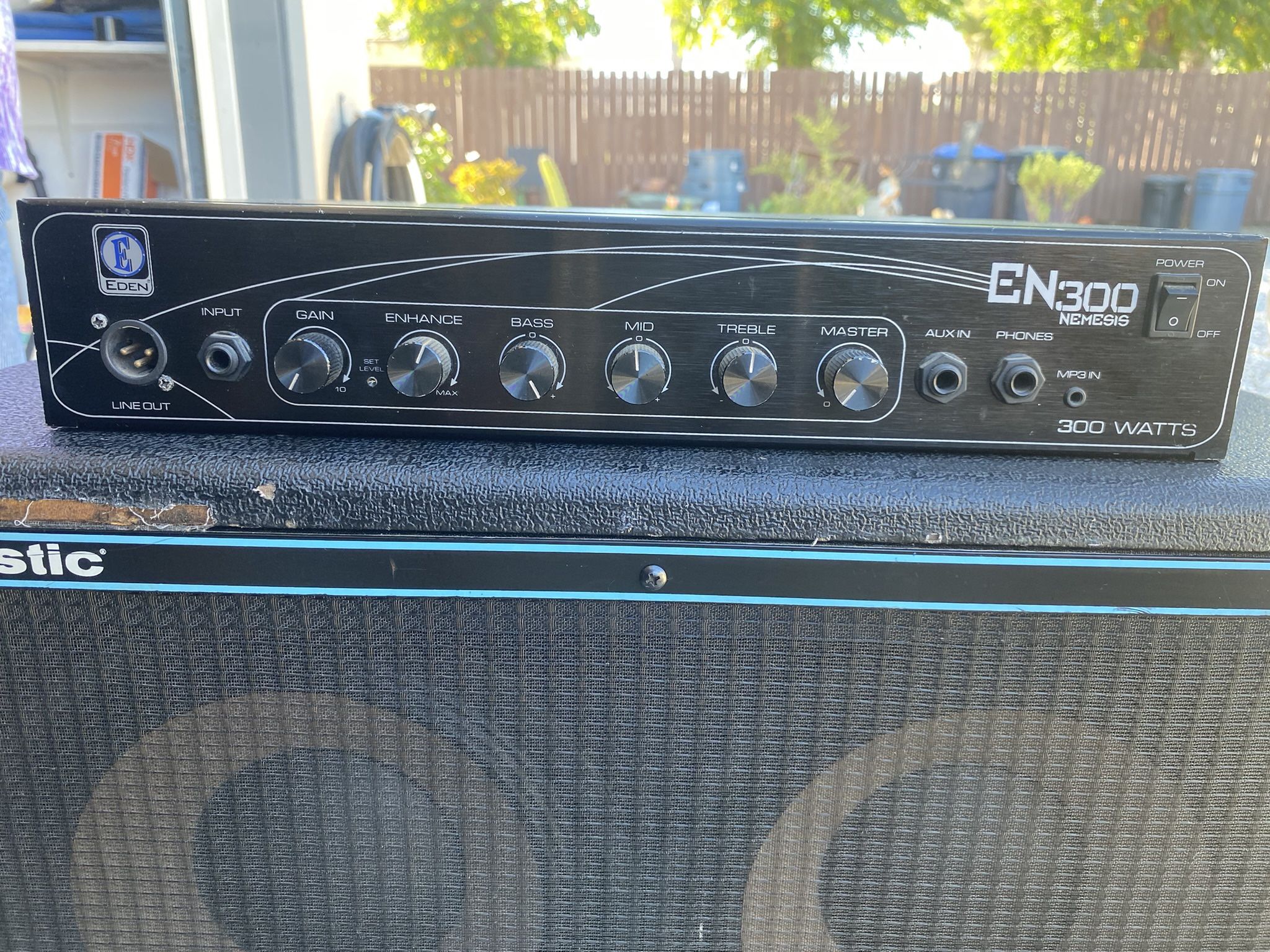 Acoustic Cabinet With Eden Amplifier