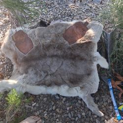  Hand Hunted & Made.Dear Fir Capelet