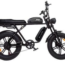 Electric Bike
