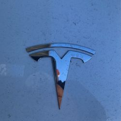 Tesla Back Up Camera