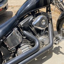 Special Construction Softail 