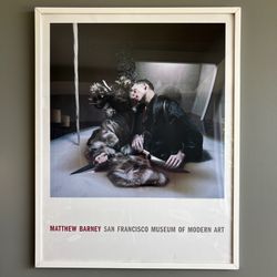 Vintage 2005 Restraint SFMOMA Exhibition Poster Framed Bjork Art